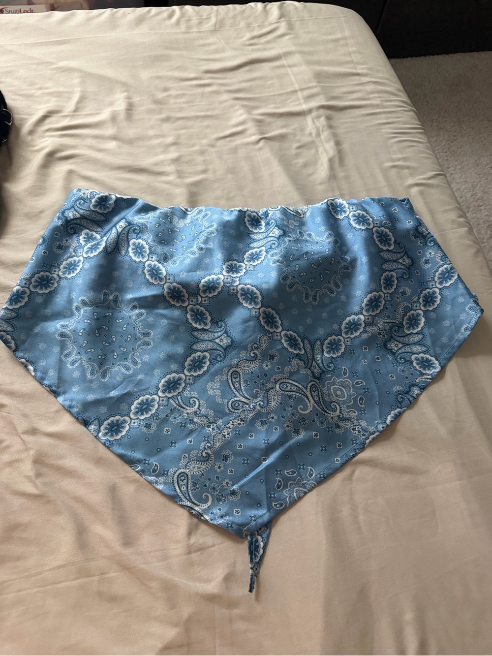 Light Blue Paisley Decorative Throw Bandana - Unbranded